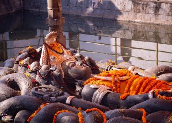 आज कामदा एकादशी : व्रत बसेमा मनोकामना पूरा हुने विश्वास