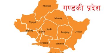 गण्डकीमा रास्वपाको दबदबा, एमाले–नेकपा शून्य